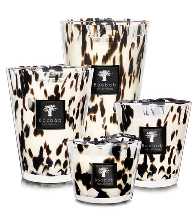 The Enchanting World of Baobab Collection Candles: Illuminating Beauty and Culture
