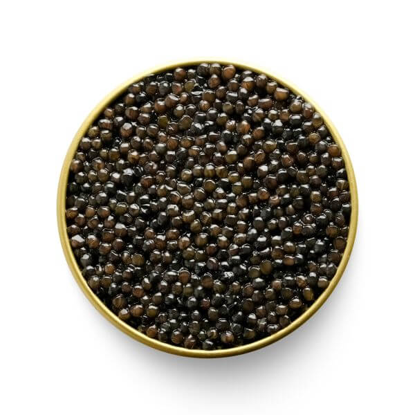 Marky's Beluga Hybrid Caviar - Exquisite Taste - Tarvos Boutique