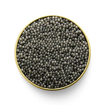 MARKY'S Sevruga Caviar: Pure Luxury Delight - Tarvos Boutique