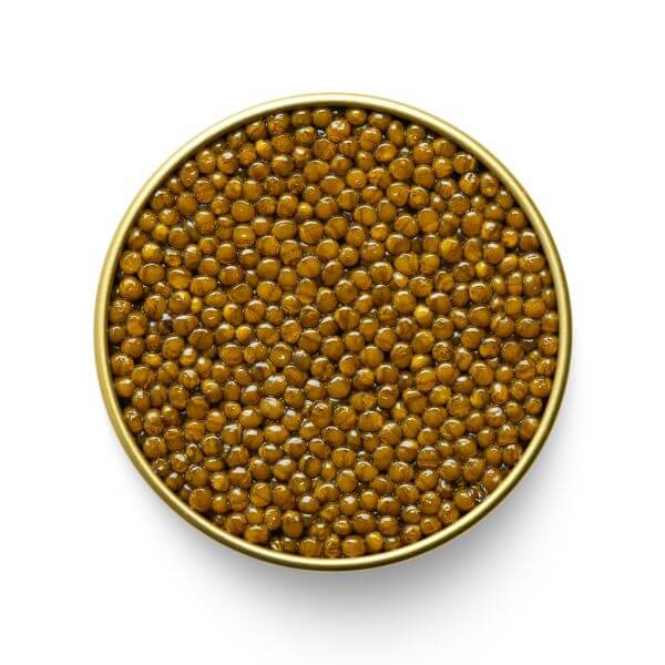 MARKY'S KALUGA IMPERIAL GOLD CAVIAR - Buy Now - Tarvos Boutique