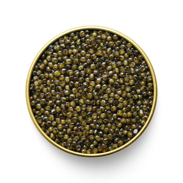 MARKY'S OSETRA ROYAL AMBER Caviar - Exclusive Delight - Tarvos Boutique