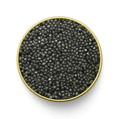 Indulge in MARKY'S PRIVATE STOCK Sterlet Caviar - Tarvos Boutique