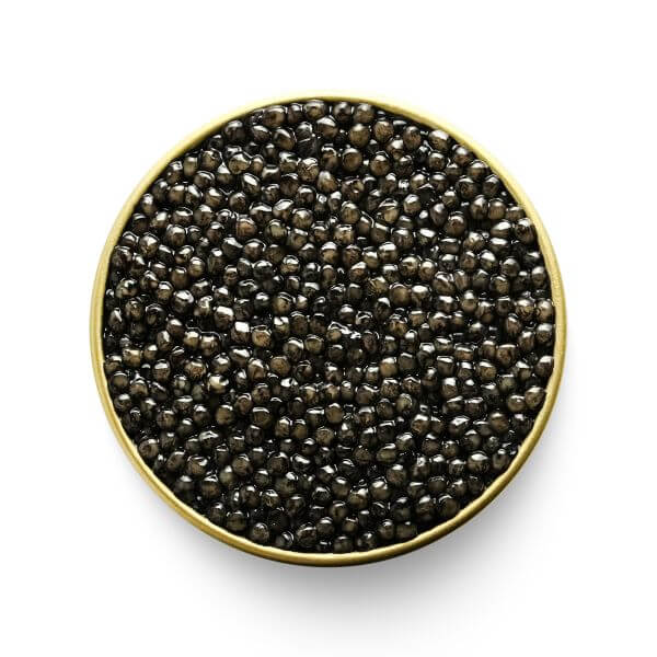 Buy MARKY'S American White Sturgeon Caviar Online - Tarvos Boutique