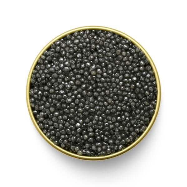 Buy MARKY'S STERLET CAVIAR Online | Premium Quality - Tarvos Boutique