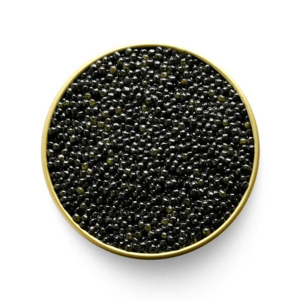 Luxury Siberian Sturgeon Caviar from Marky's Italy - Tarvos Boutique