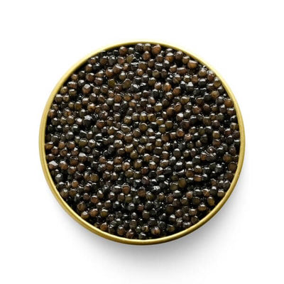MARKY'S Beluga Hybrid Caviar - Di Venezia Luxury - Tarvos Boutique