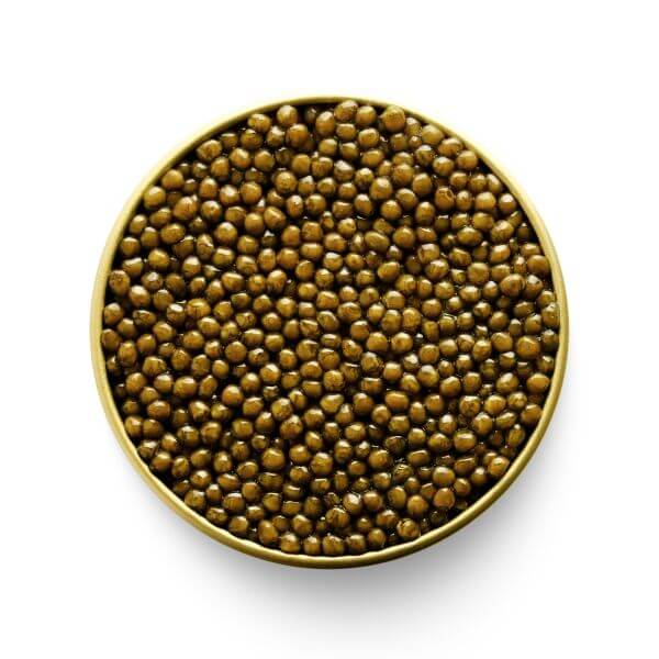 Buy Marky's Special Selection Osetra Caviar Online - Tarvos Boutique