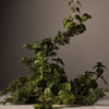 Homecourt - Surface Cleaner