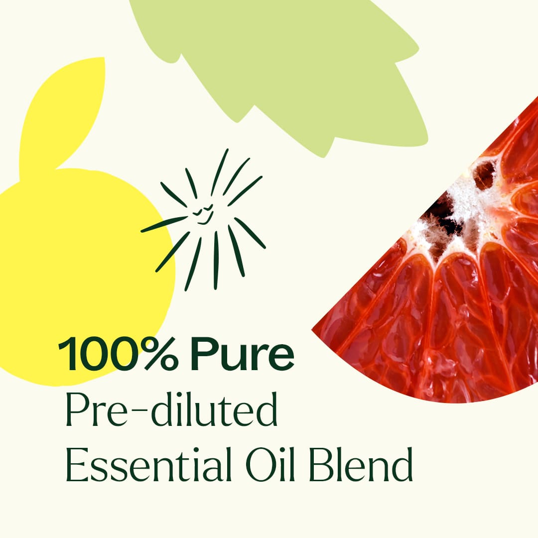 Plant Therapy - One & All Pre-Diluted Essential Oil Roll-On Blend 10 mL