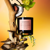 BOY SMELLS - WOODPHORIA - WOODY/FLORAL