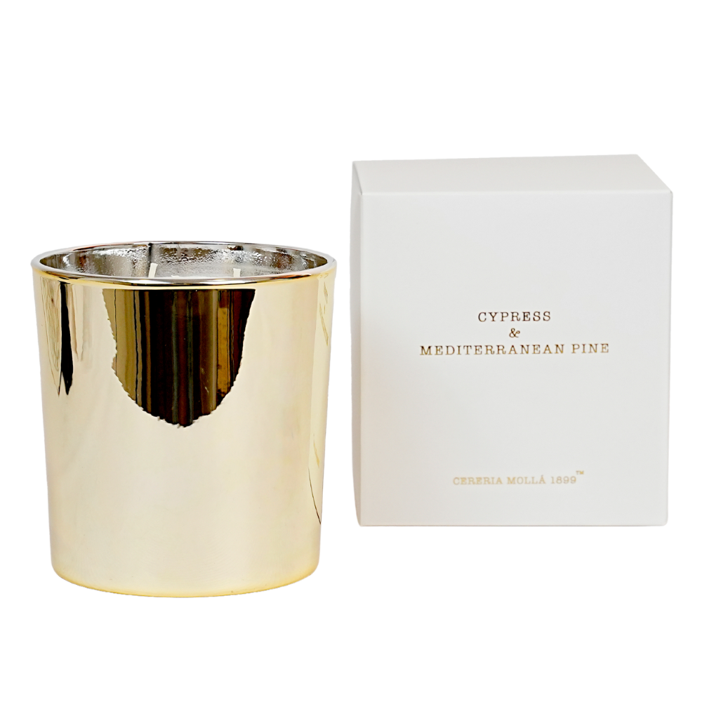 Cereria Molla - Cypress & Mediterranean Pine Holiday Candle