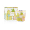 Baobab Collection - SCENTED CANDLE MY FIRST BAOBAB MIAMI