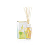Baobab Collection - DIFFUSER MY FIRST BAOBAB MIAMI 250 ml