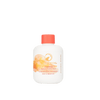 HoliFrog - Sunapee Sacred C Powder Cleanser