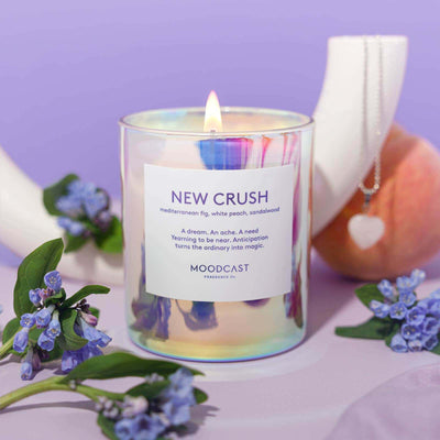 Moodcast Fragrance Co. - New Crush - 8oz Coconut Wax Candle - Tarvos Boutique