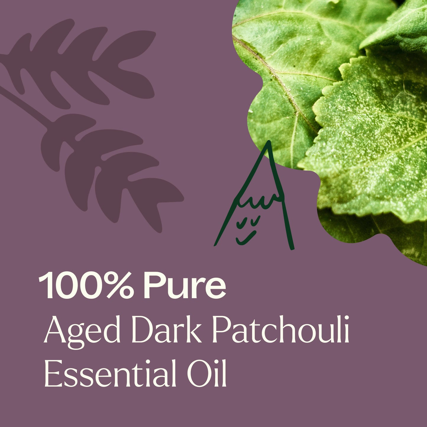 Plant Therapy - Aged Dark Patchouli Essential Oil Pre-Diluted Roll-On 10 ml