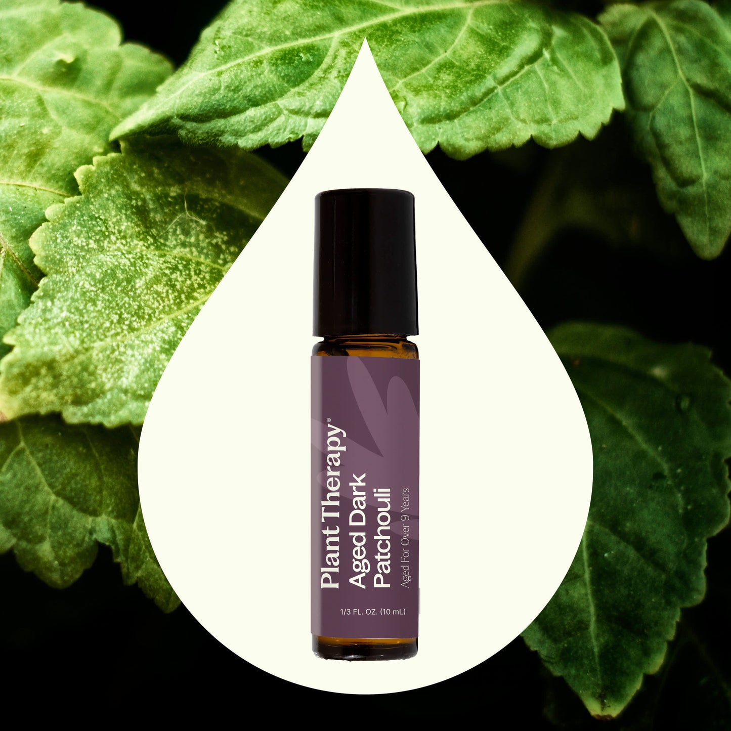 Plant Therapy - Aged Dark Patchouli Essential Oil Pre-Diluted Roll-On 10 ml