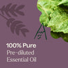 Plant Therapy - Aged Dark Patchouli Essential Oil Pre-Diluted Roll-On 10 ml