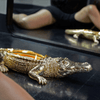 Thompson Ferrier - Gold Grand Alligator Candle