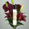 Cereria Molla - Room & Body Travel Spray 0.5 fl oz / 15 ml
