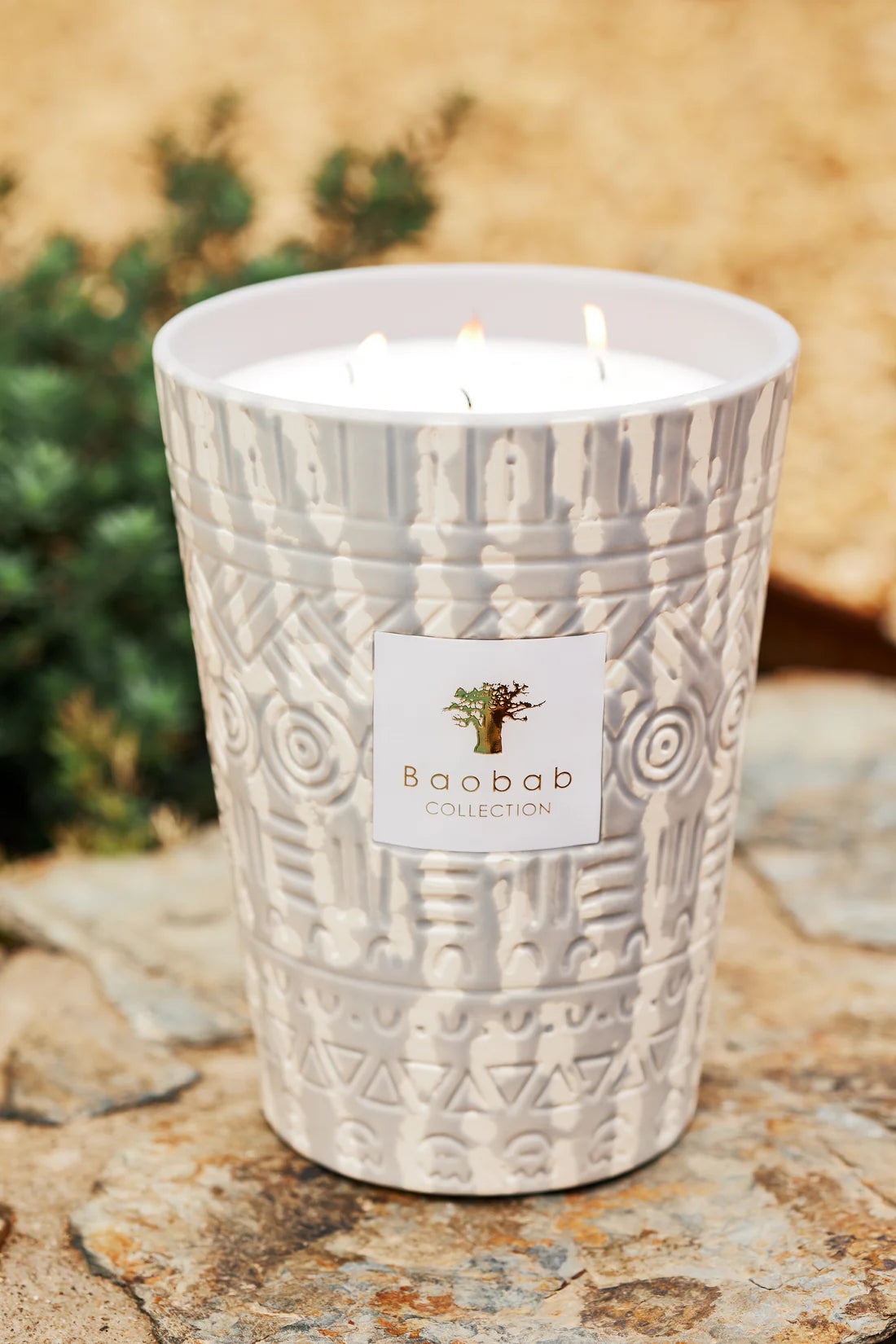 Baobab Collection - Candle Ancient Mark Apylan - Peppermint - Geranium - Driftwood