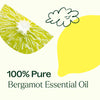 Plant Therapy - Bergamot Essential Oil