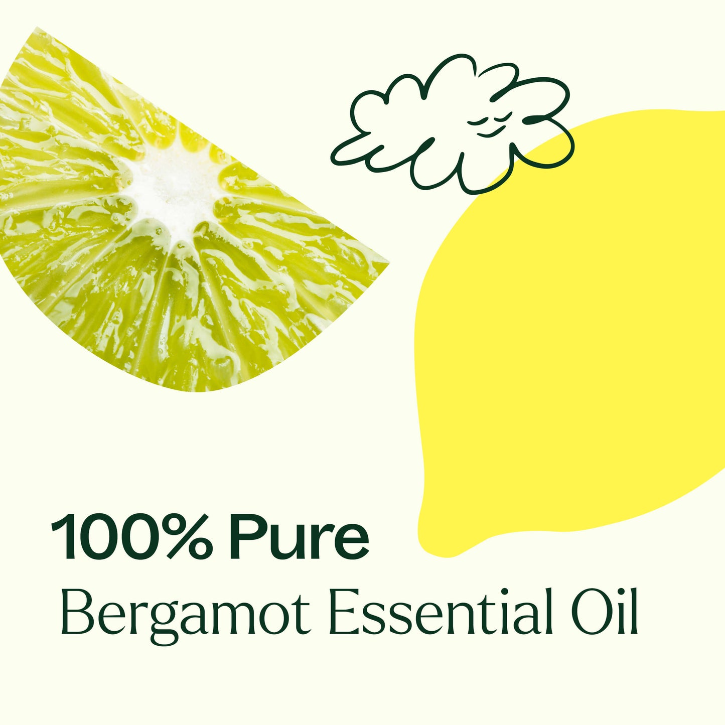 Plant Therapy - Bergamot Essential Oil