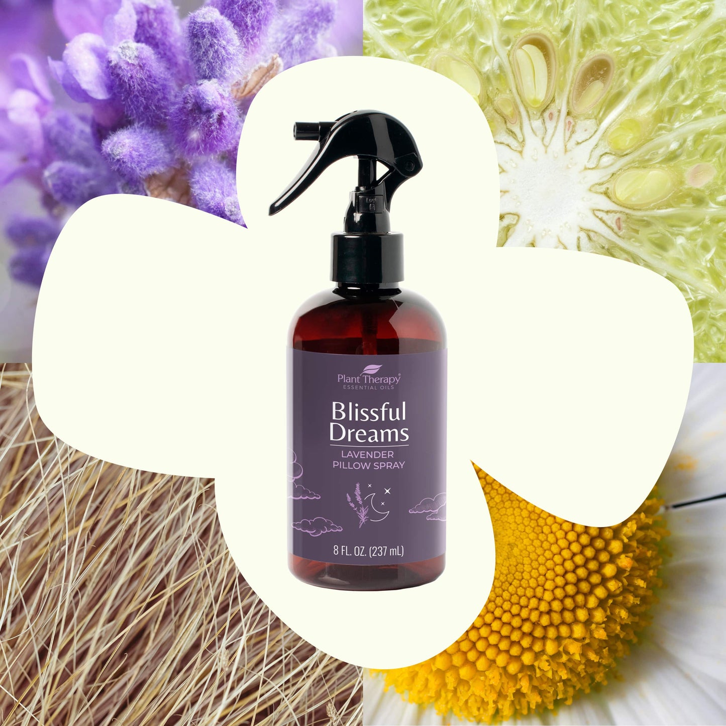 Plant Therapy - Blissful Dreams Lavender Pillow Spray