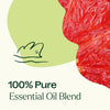 Plant Therapy - Brain Aid Essential Oil Blend