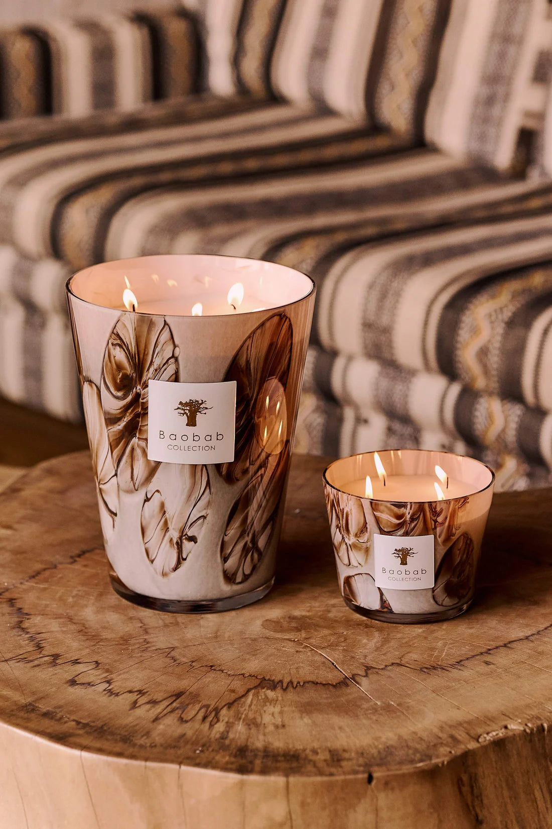 Baobab Collection - Candle Oceania Anangu - Nutmeg - Cinnamon Wood - Galbanum