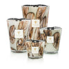 Baobab Collection Anangu scented candles in various sizes, featuring elegant oval motifs on hand-blown glass.