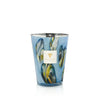 Baobab Collection - Candle Oceania Tingari - Galbanum - Gaiac Wood - Patchouli from Indonesia