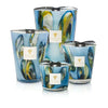 Baobab Collection - Candle Oceania Tingari - Galbanum - Gaiac Wood - Patchouli from Indonesia - Tarvos Boutique