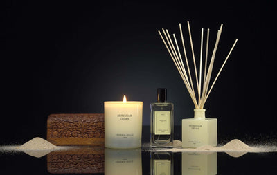 Cereria Molla - Moroccan Cedar Diffuser - Tarvos Boutique