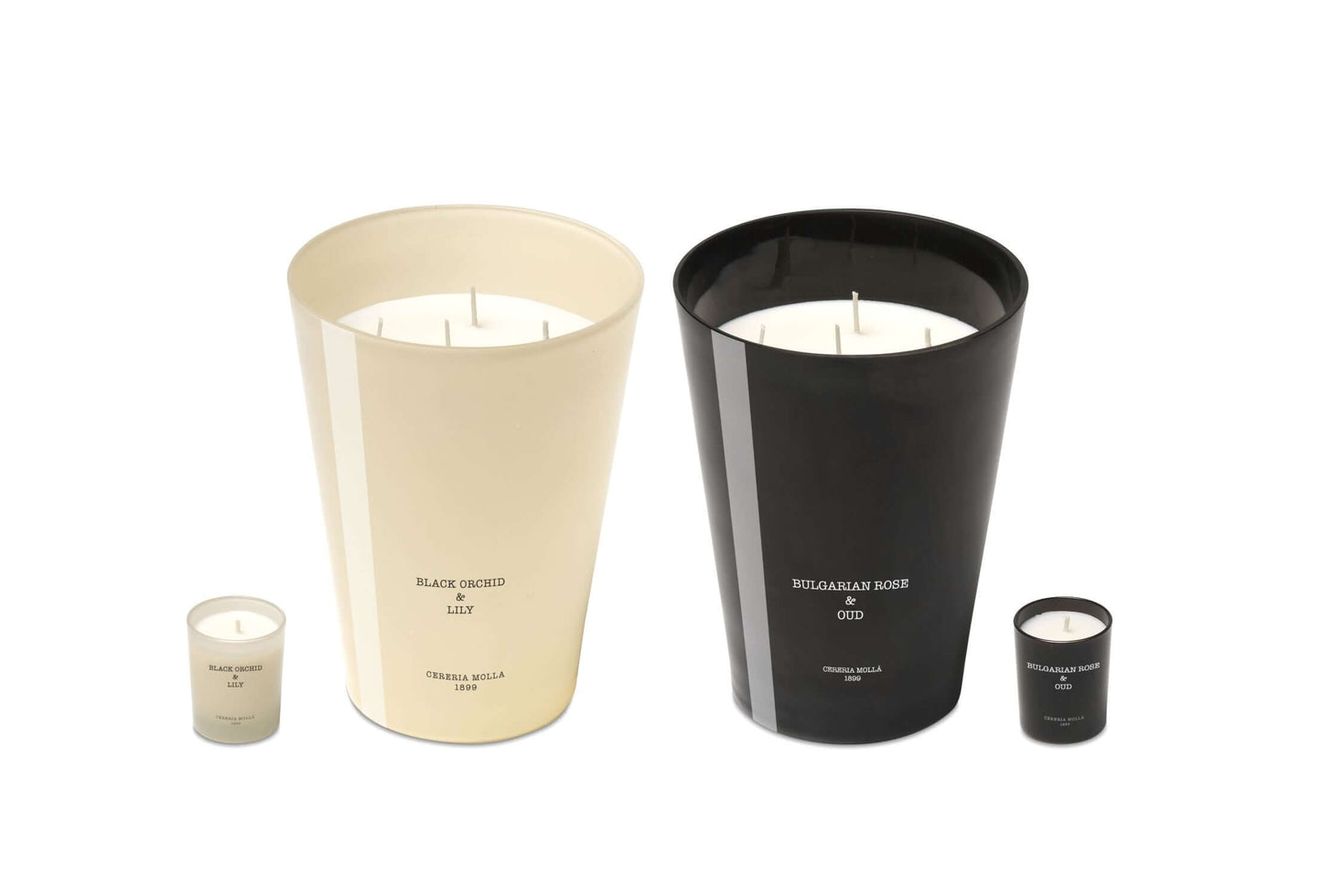 Cereria Molla - 7.7 lb / 3.5 kg - 4 wick XXL Candle - Tarvos Boutique