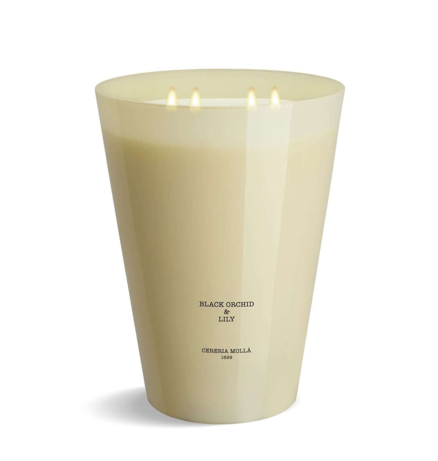 Cereria Molla - 7 wick 3XL Candle - 15.4 lb / 7 kg - Tarvos Boutique