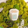 Antica Farmacista - Elderflower Candle