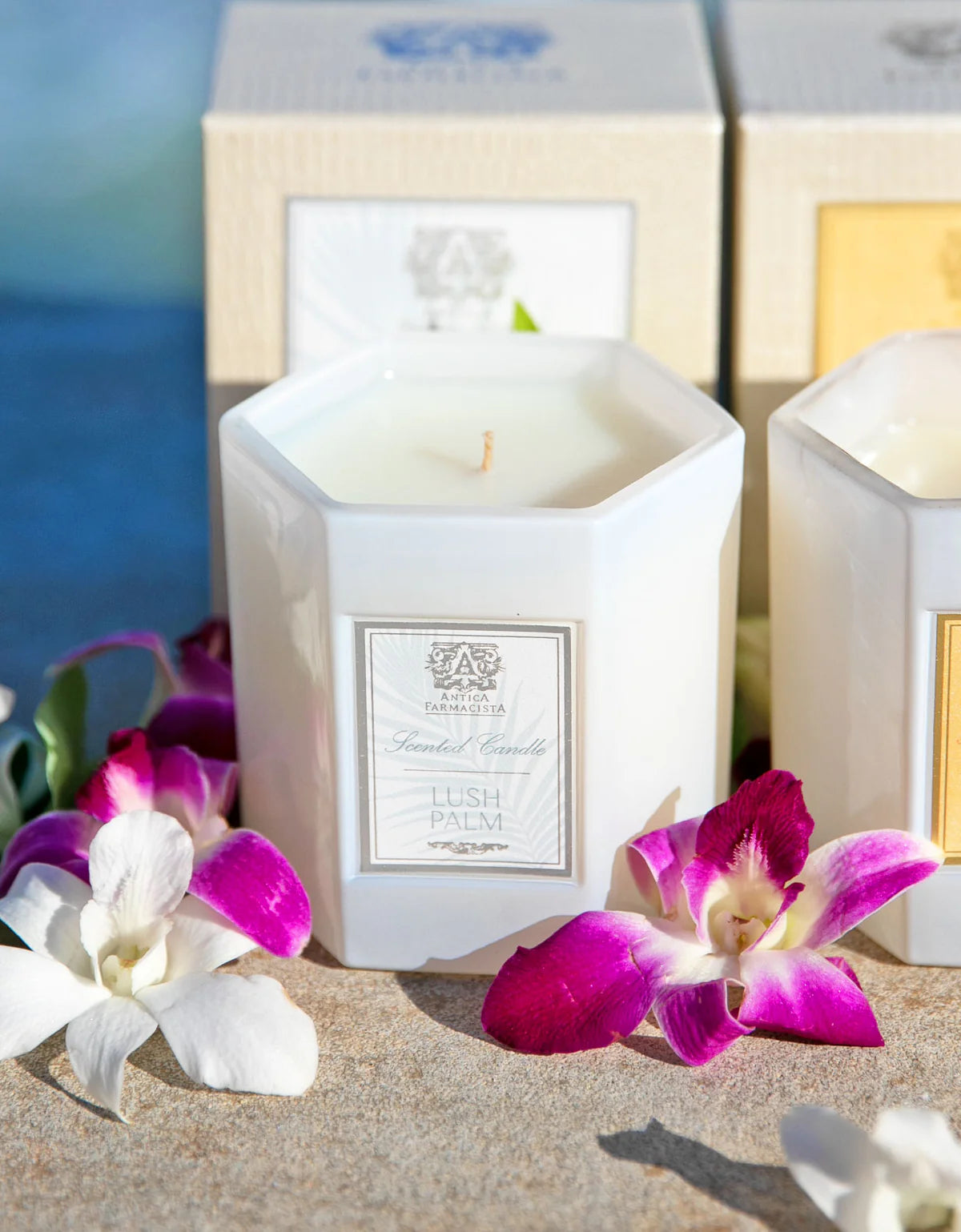 Antica Farmacista - Lush Palm Candle