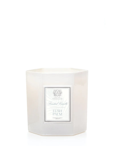 Antica Farmacista - Lush Palm Candle