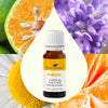 Plant Therapy - Calming the Child KidSafe Essential Oil