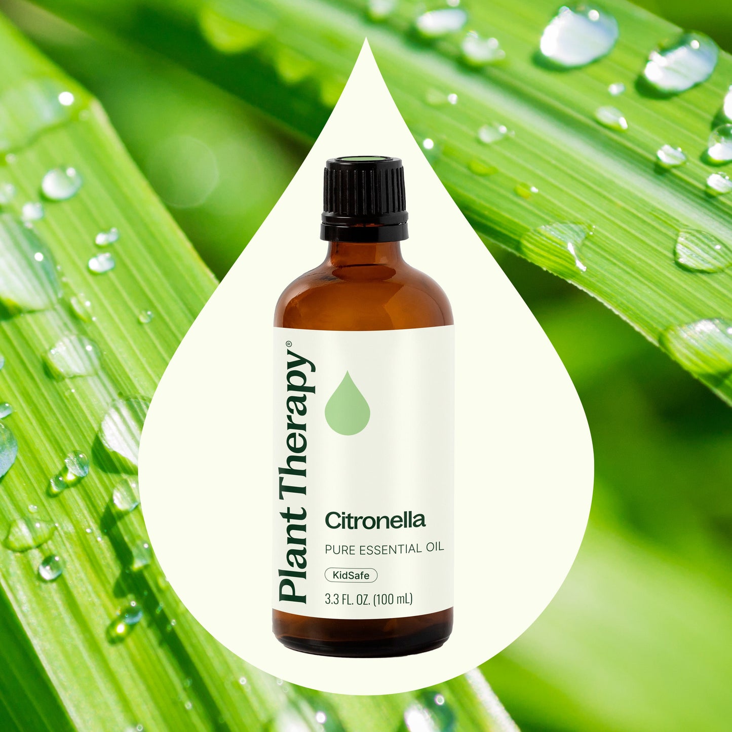 Plant Therapy - Citronella Essential Oil