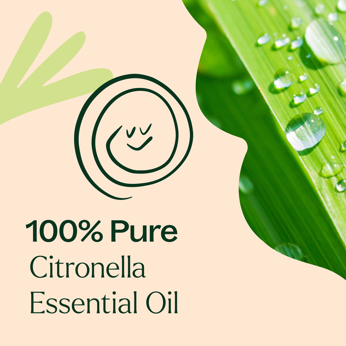 Plant Therapy - Citronella Essential Oil