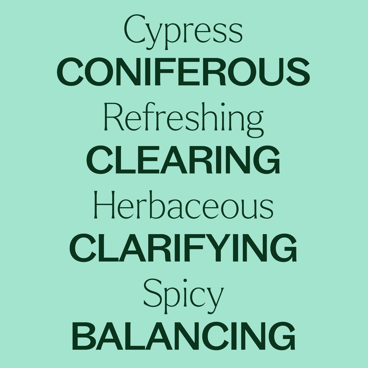 Plant Therapy - Cypress Essential Oil