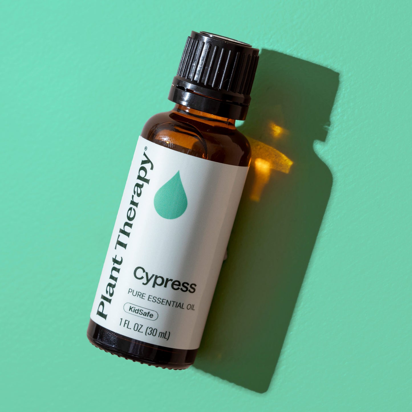 Plant Therapy - Cypress Essential Oil