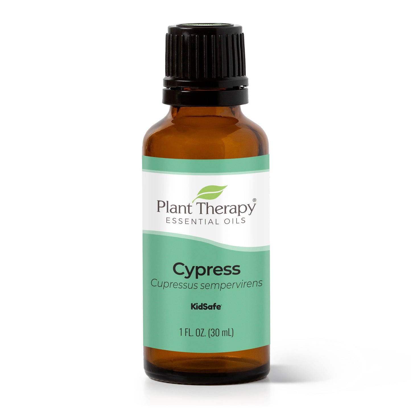 Plant Therapy - Cypress Essential Oil