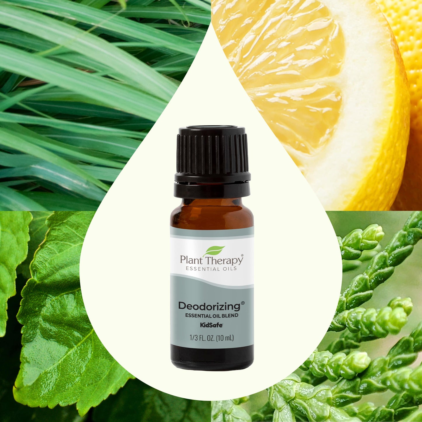 Plant Therapy - Deodorizing Essential Oil Blend