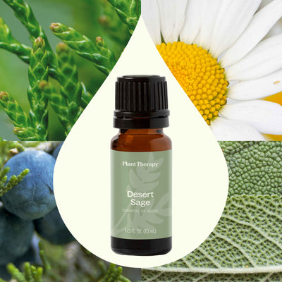 Plant Therapy - Desert Sage Essential Oil Blend
