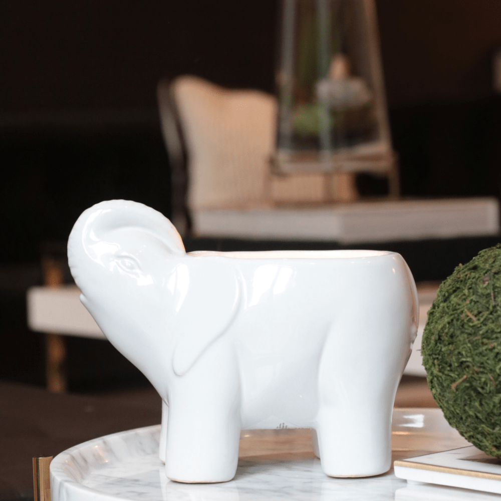 Thompson Ferrier - White Elephant Candle
