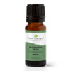 Plant Therapy - Eucalyptus Dives Essential Oil