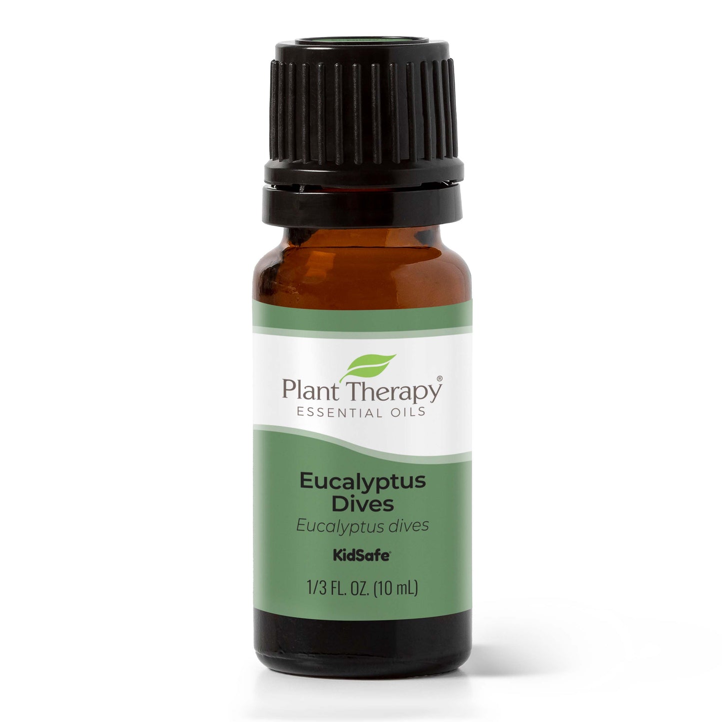 Plant Therapy - Eucalyptus Dives Essential Oil